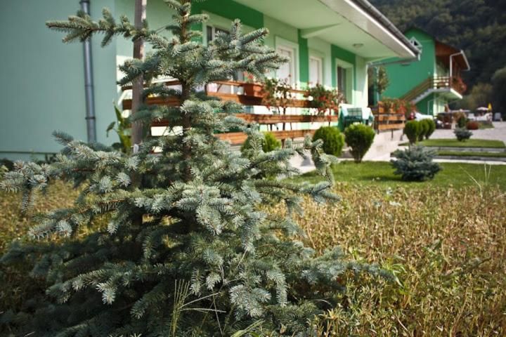 Гостевой дом Pension Charisma Бэиле-Еркулане-17