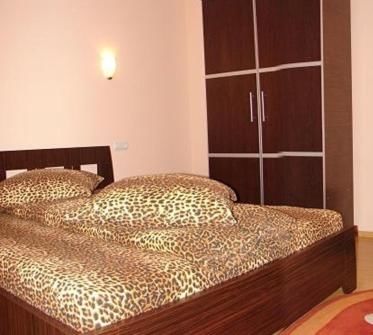 Гостевой дом Pension Charisma Бэиле-Еркулане-32