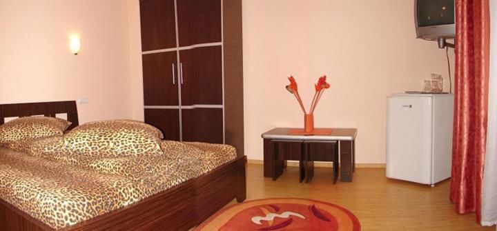 Гостевой дом Pension Charisma Бэиле-Еркулане-6